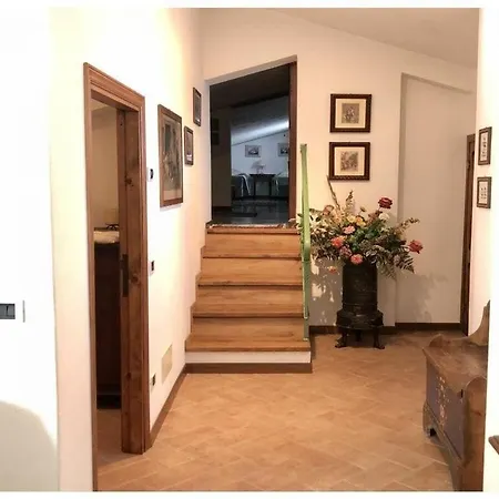 Bucatino